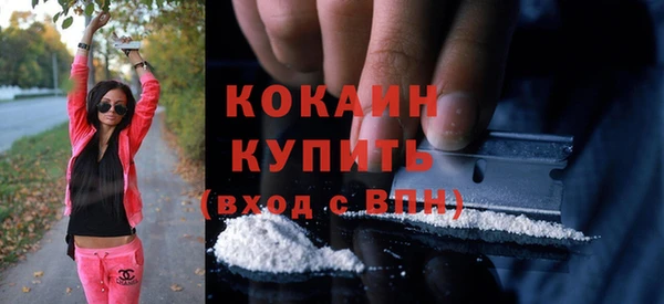 хмурый Алексин