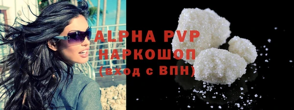 хмурый Алексин