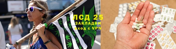 PSILOCYBIN Алзамай