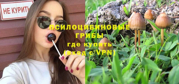 PSILOCYBIN Алзамай