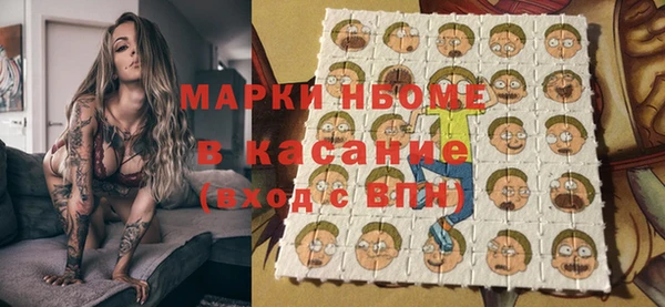 PSILOCYBIN Алзамай