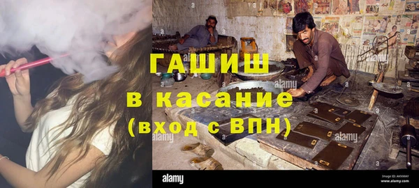 хмурый Алексин