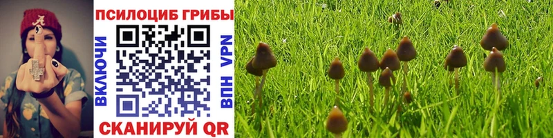 Галлюциногенные грибы Psilocybine cubensis  Арамиль 